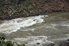 18 River Rapids Below Salto Alvar Nunez Waterfall On Paseo Inferior Lower Trail At Iguazu Falls Argentina.jpg